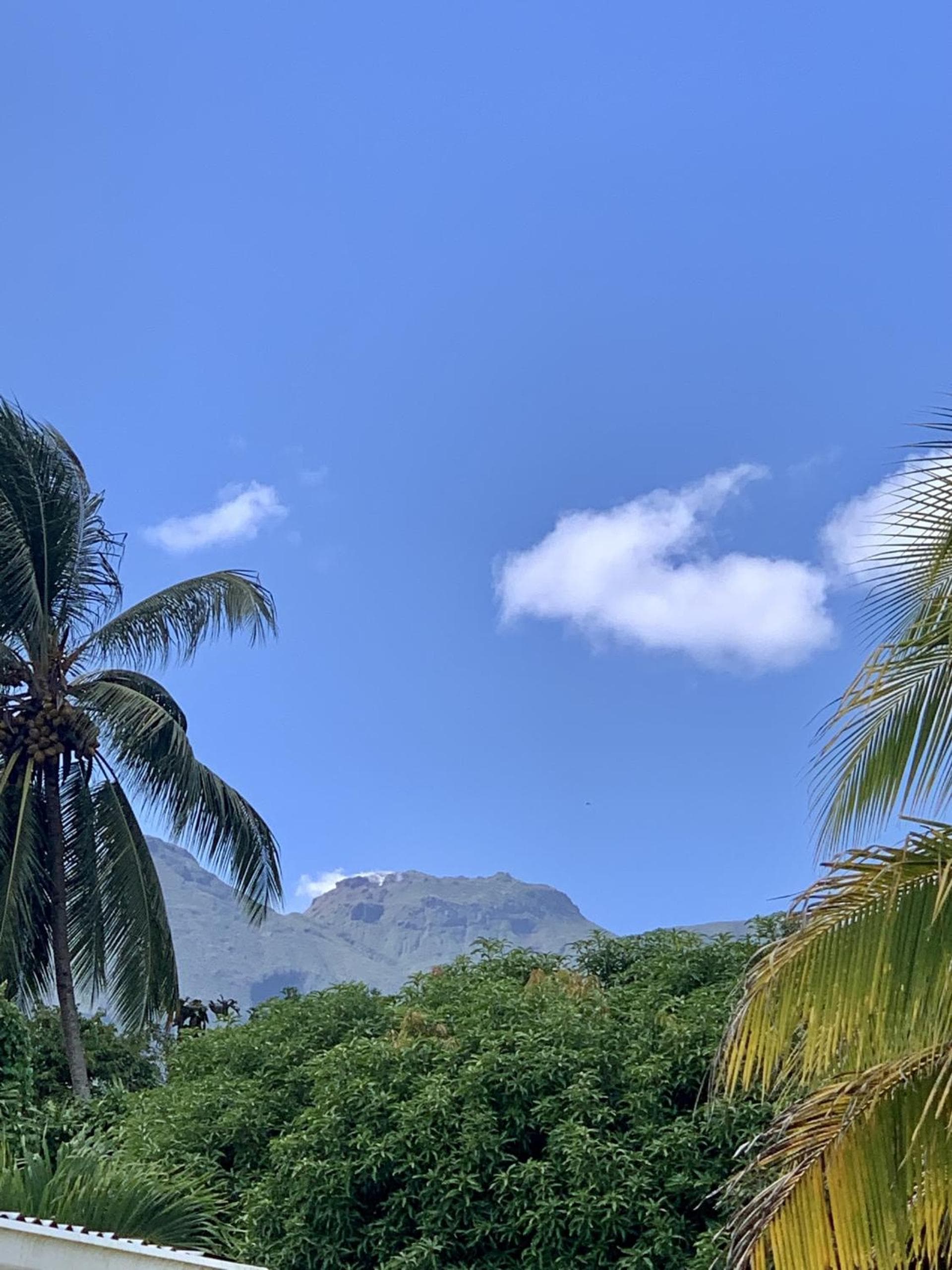 Les Gites Orchidees Bel'o - Photo 17