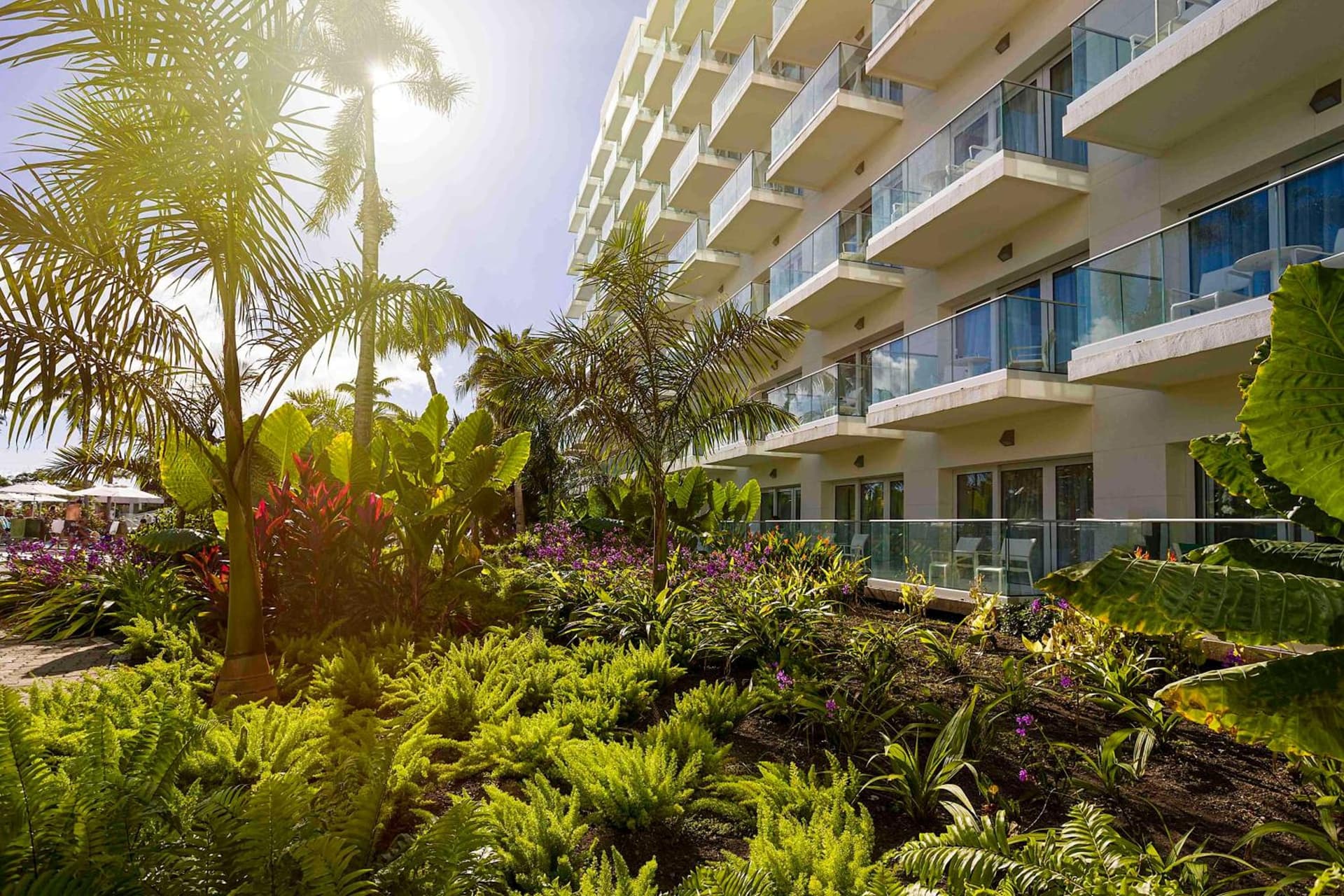 Sonesta Maho Beach All Inclusive Resort Casino & Spa - Photo 51