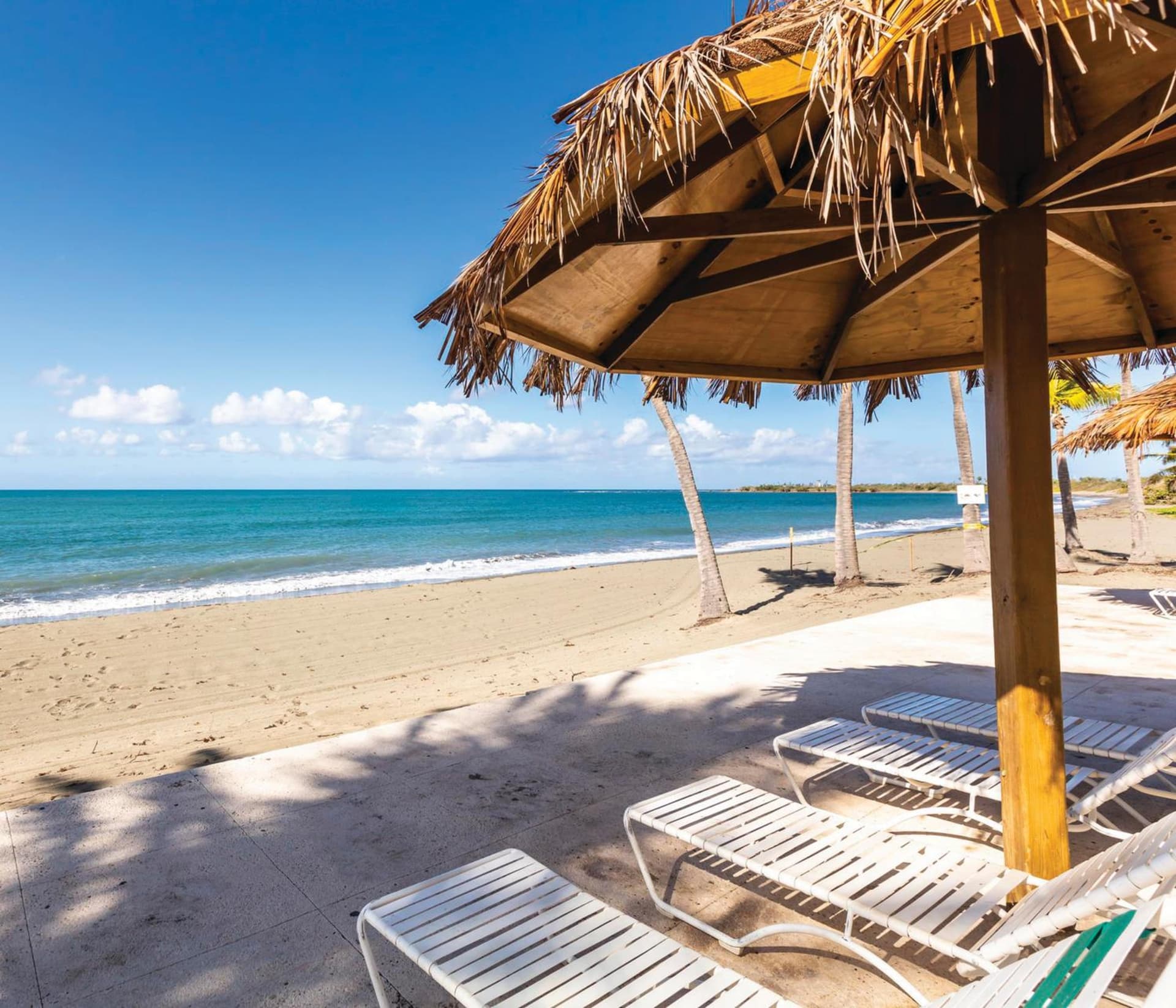 Hilton Ponce Golf & Casino Resort - Photo 64