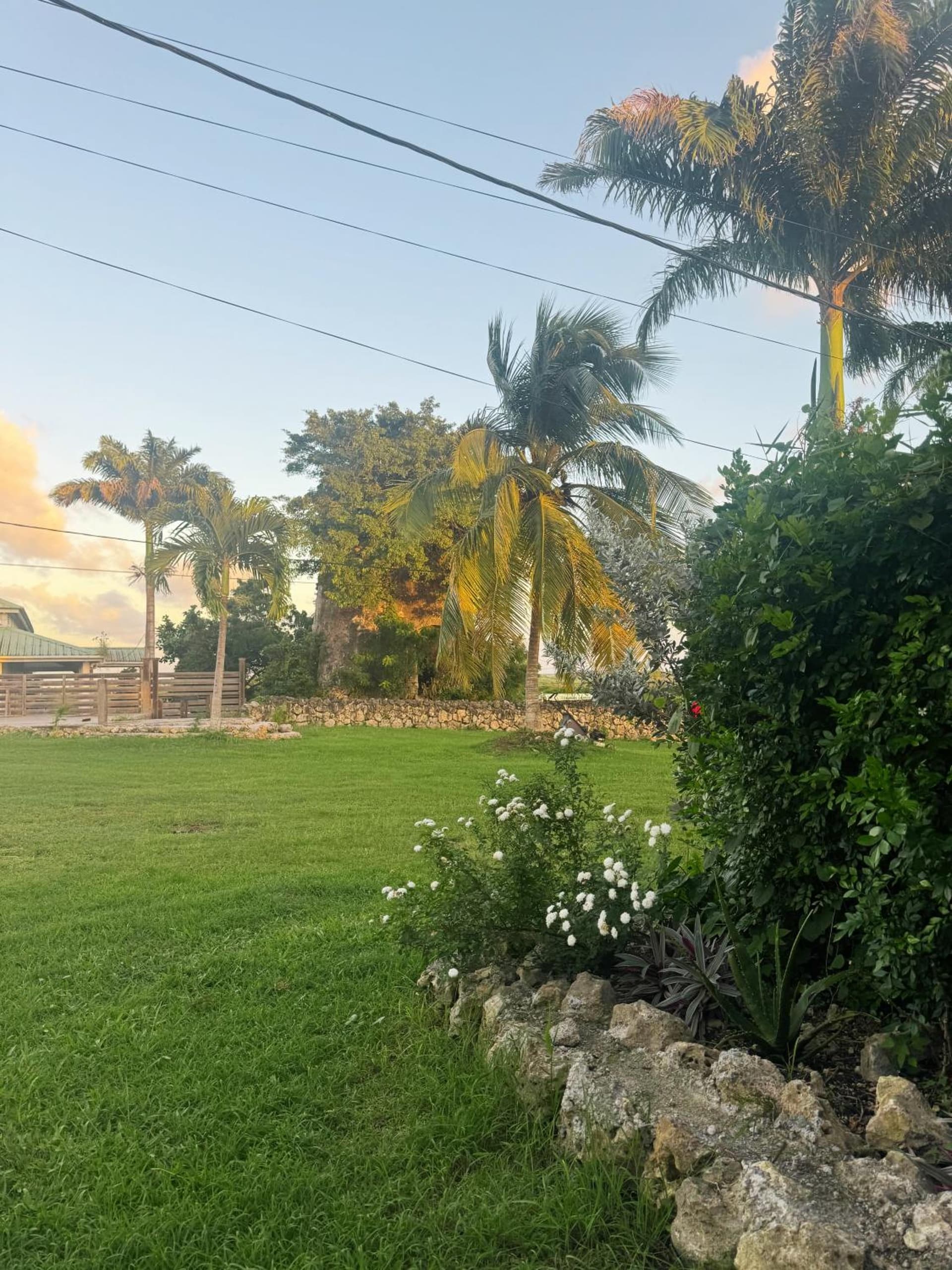 Au Moulin Paradisiaque - Photo 3