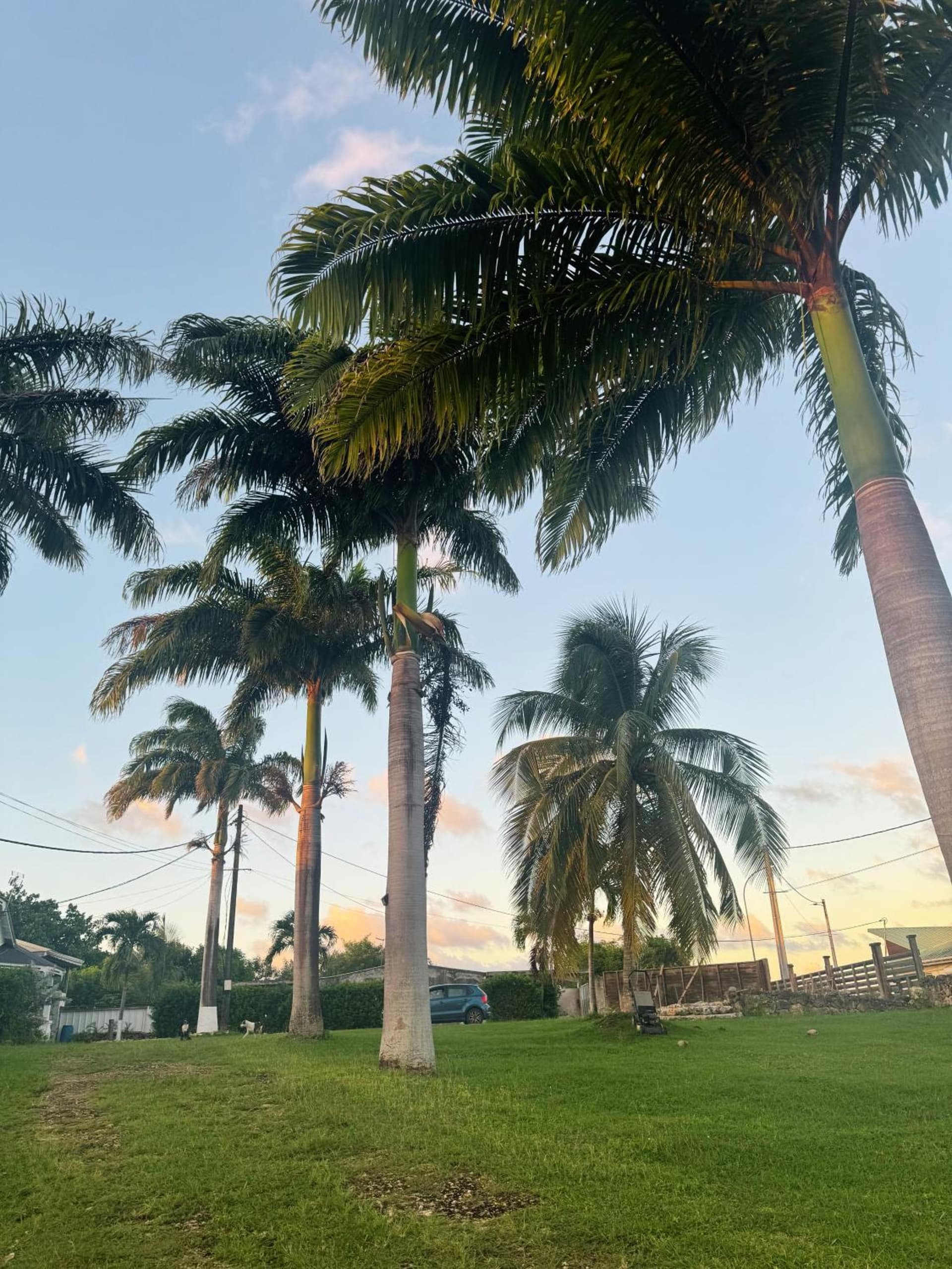 Au Moulin Paradisiaque - Photo 5