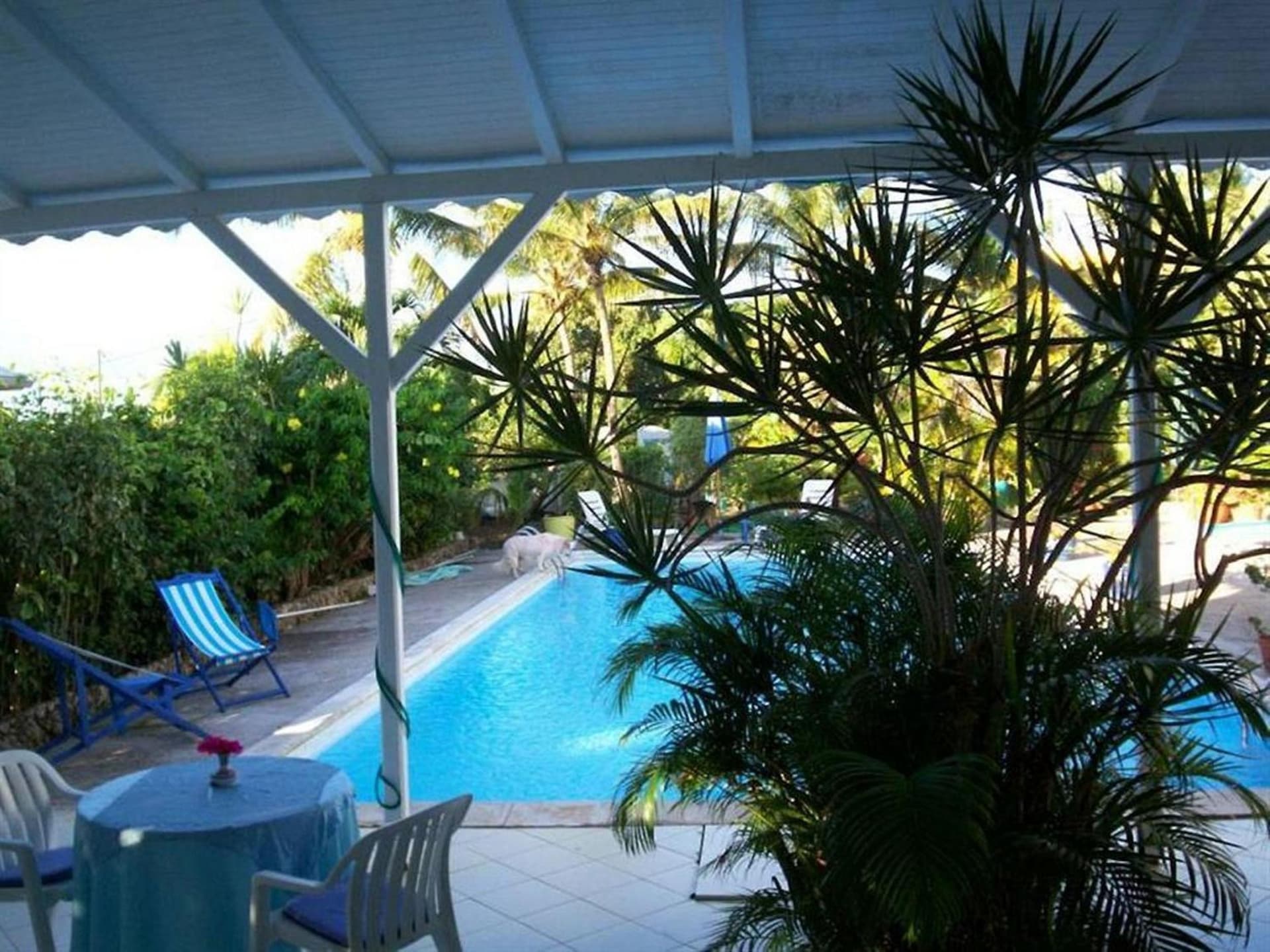 Hotel Cap Sud Caraibes - Photo 2