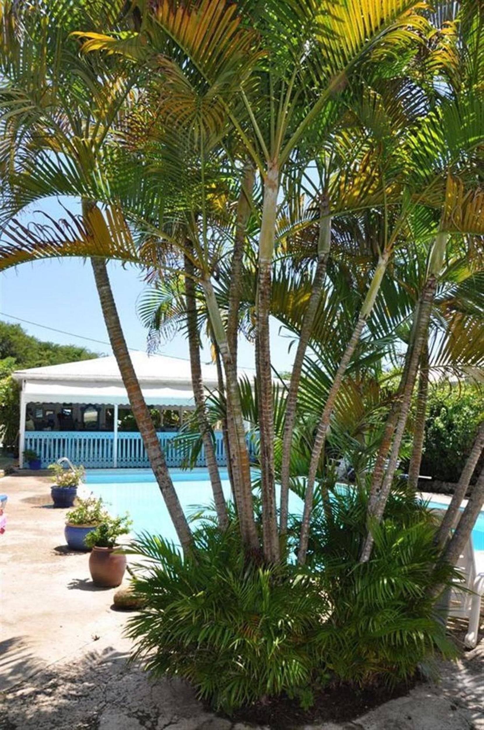 Hotel Cap Sud Caraibes - Photo 28