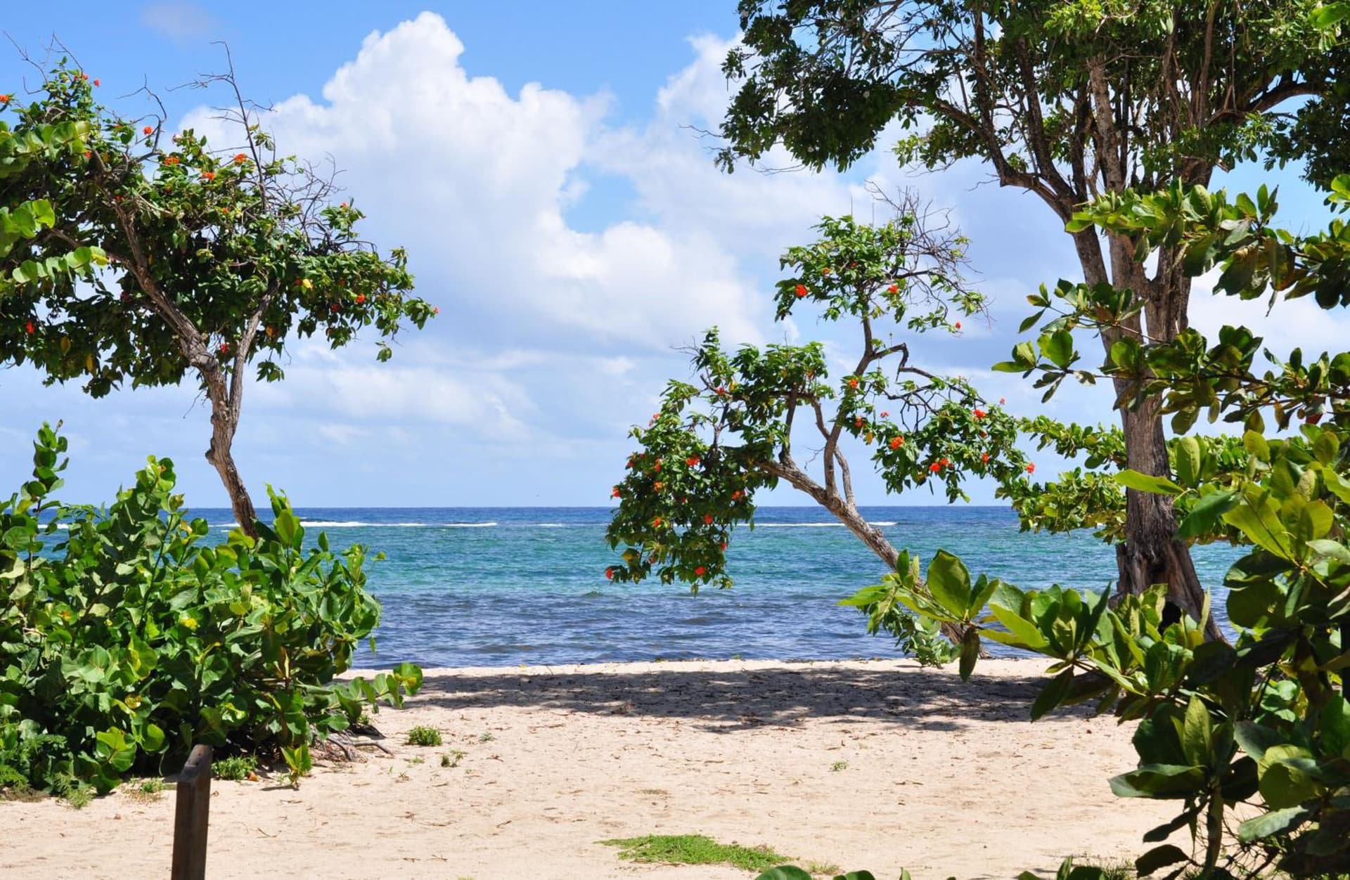 Résidence Tropicale - Photo 6