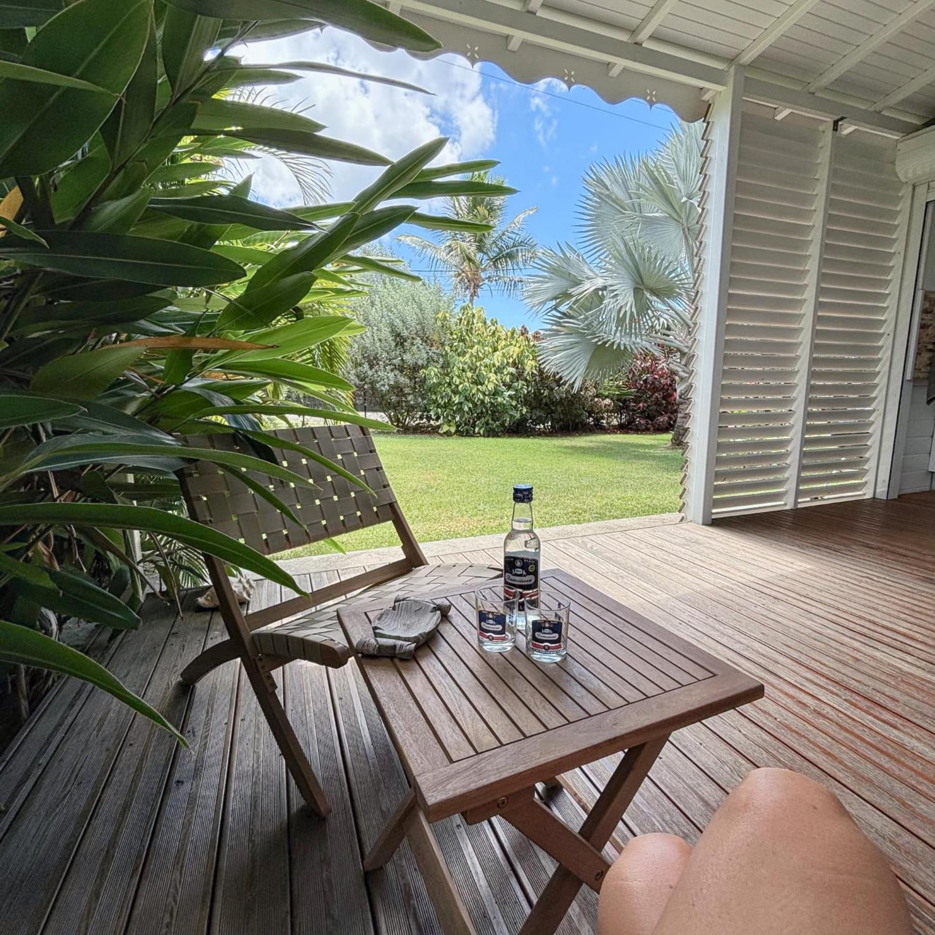 Kaz et Palmiers - Photo 3