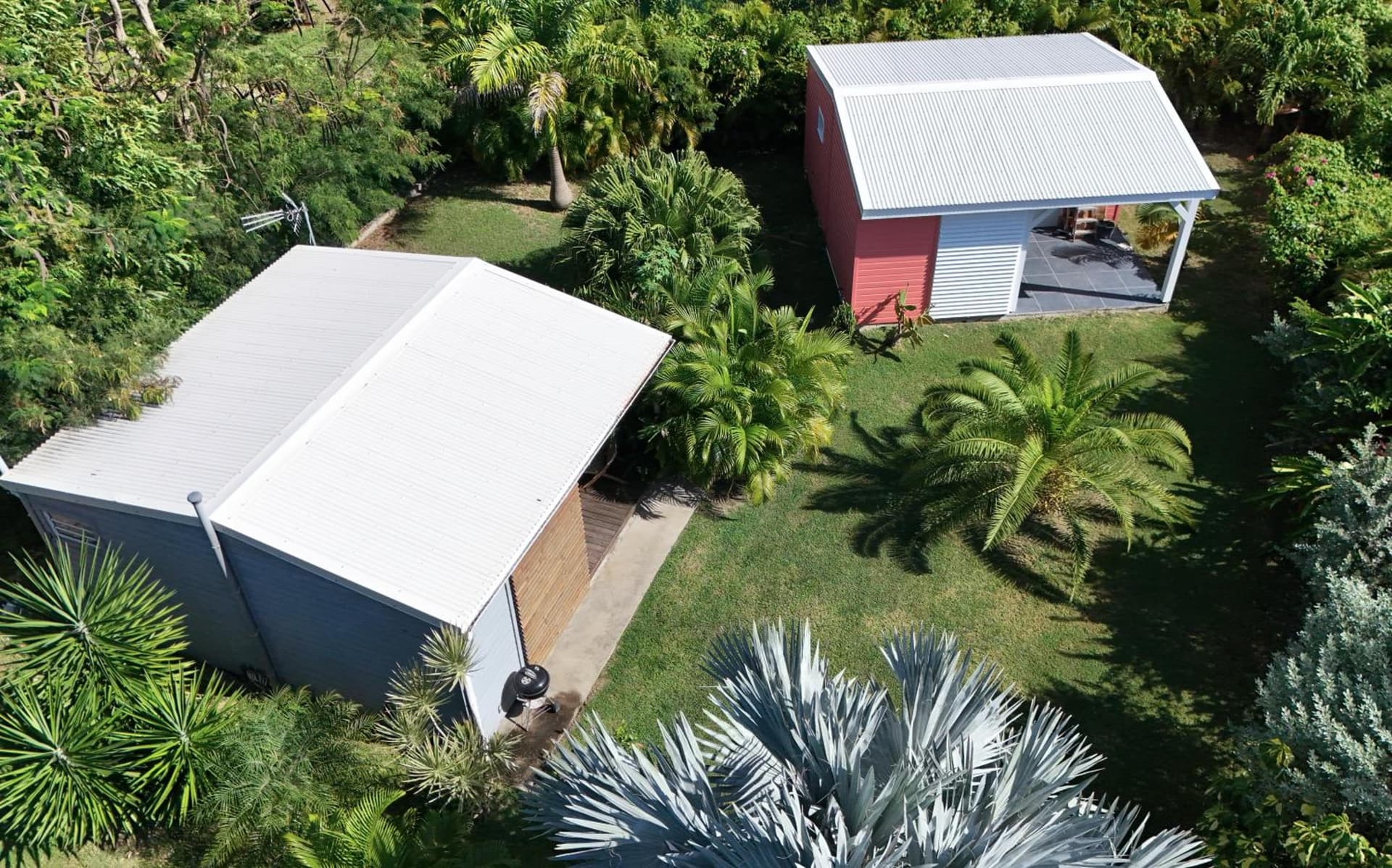 Kaz et Palmiers - Photo 19