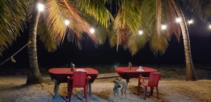 Casa Rural El Paraíso de Saona - Photo 14