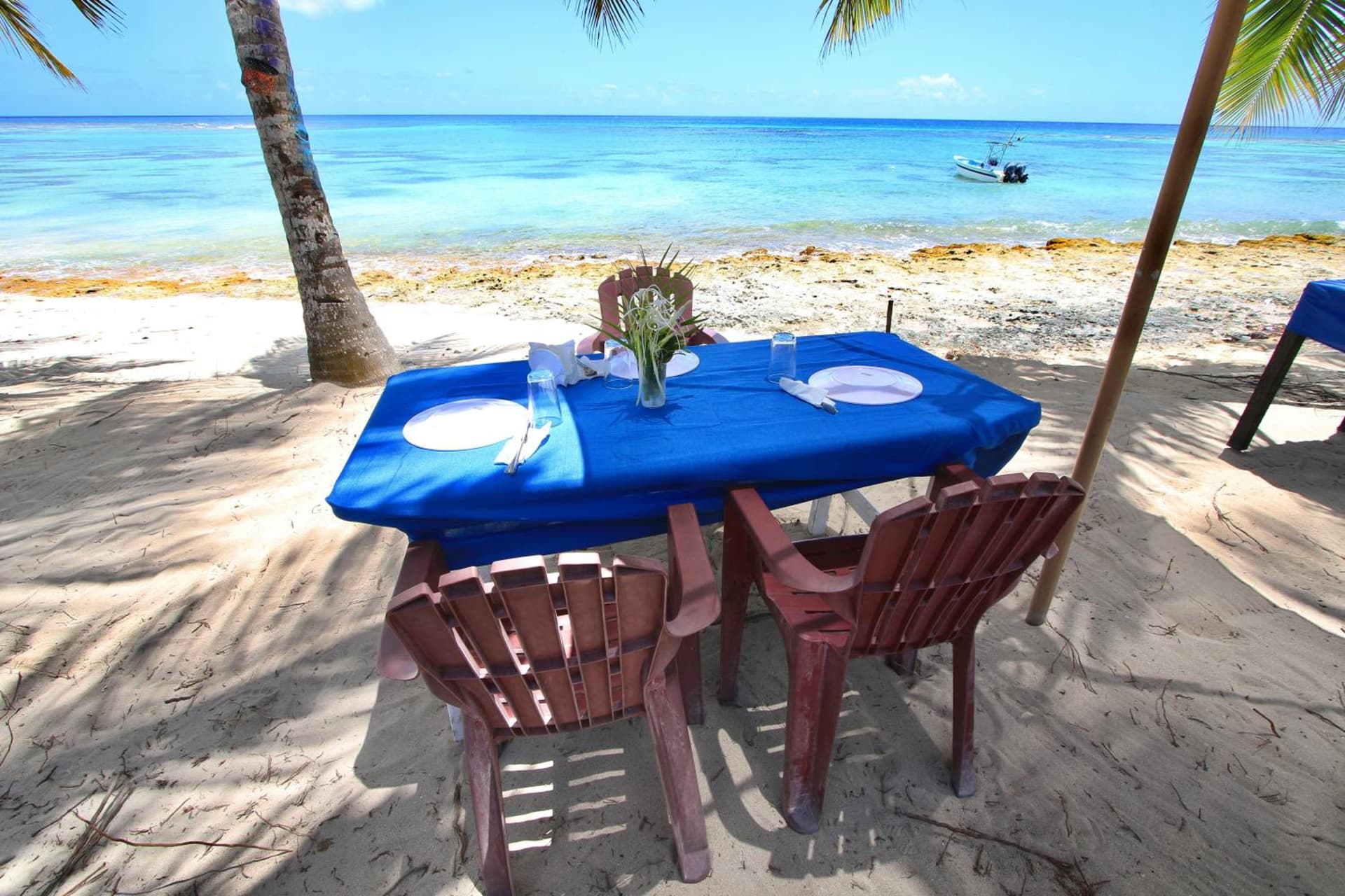 Casa Rural El Paraíso de Saona - Photo 24