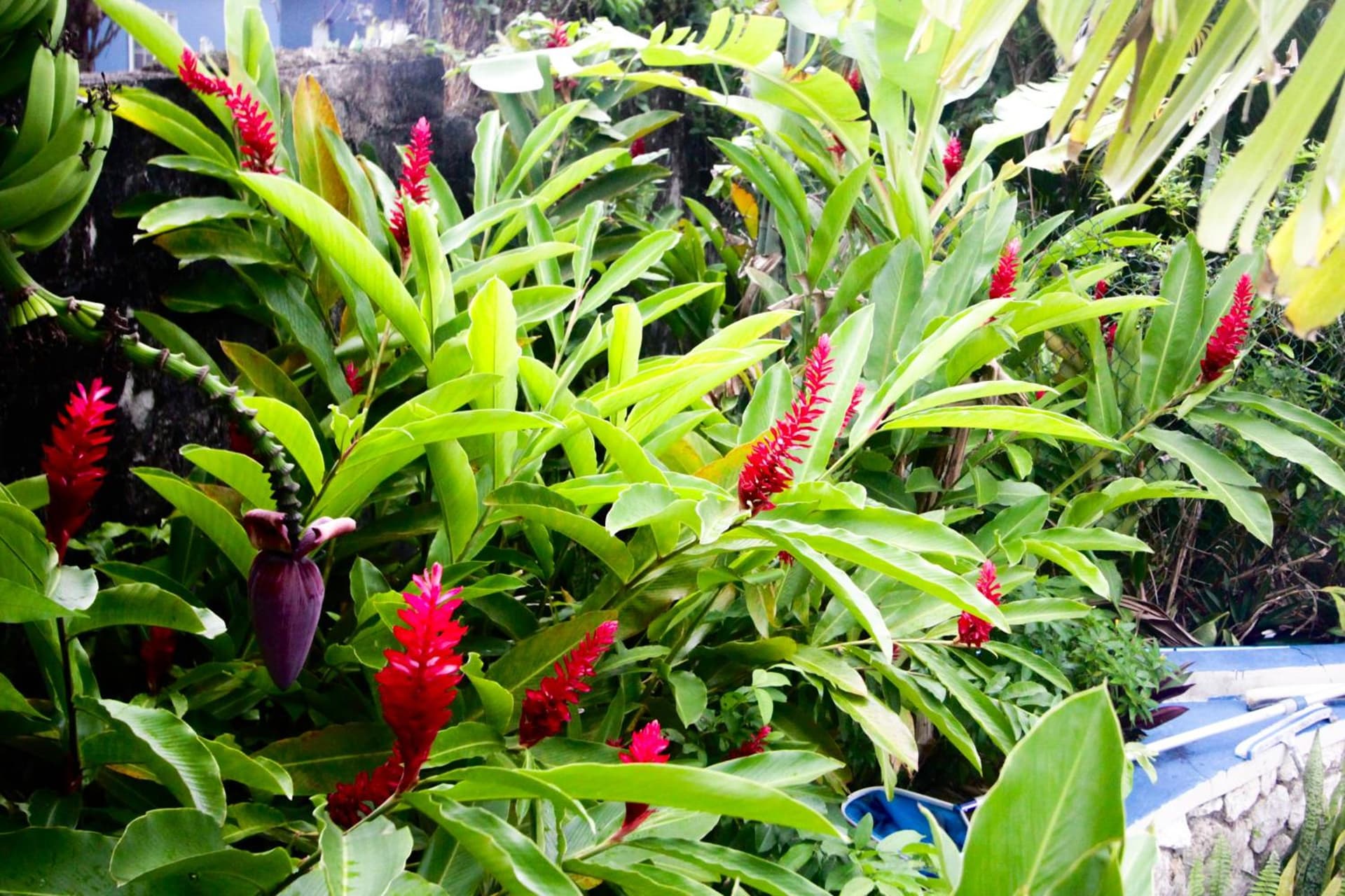 Match Resort - Photo 62