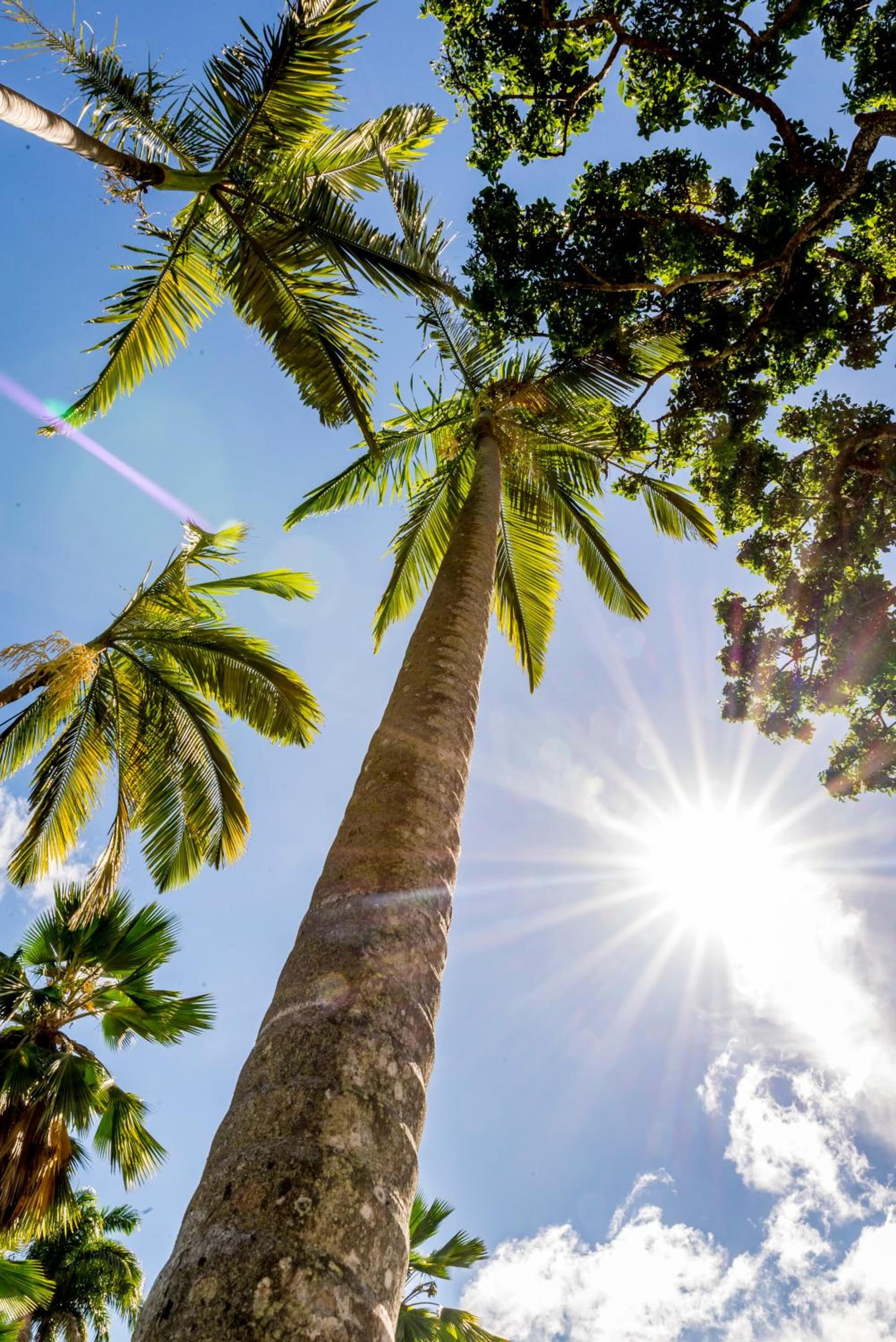 Residence Fort Savane - Photo 31