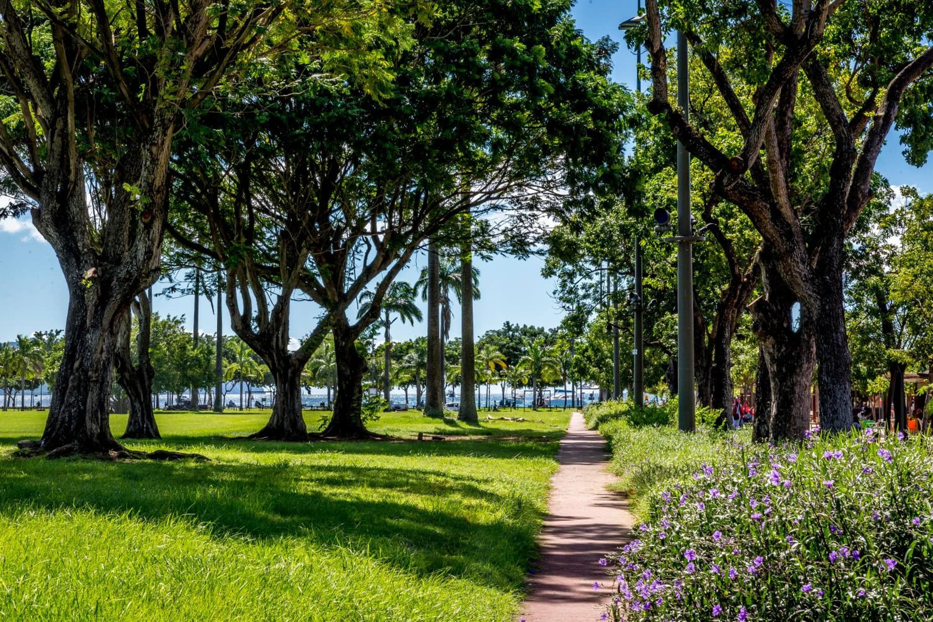 Residence Fort Savane - Photo 36