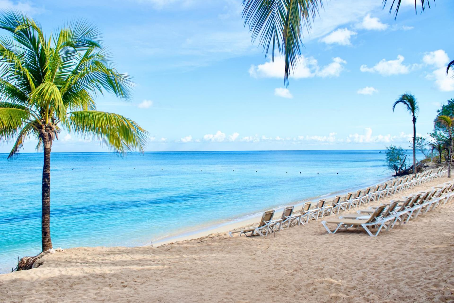 Occidental Cozumel - All Inclusive - Photo 33