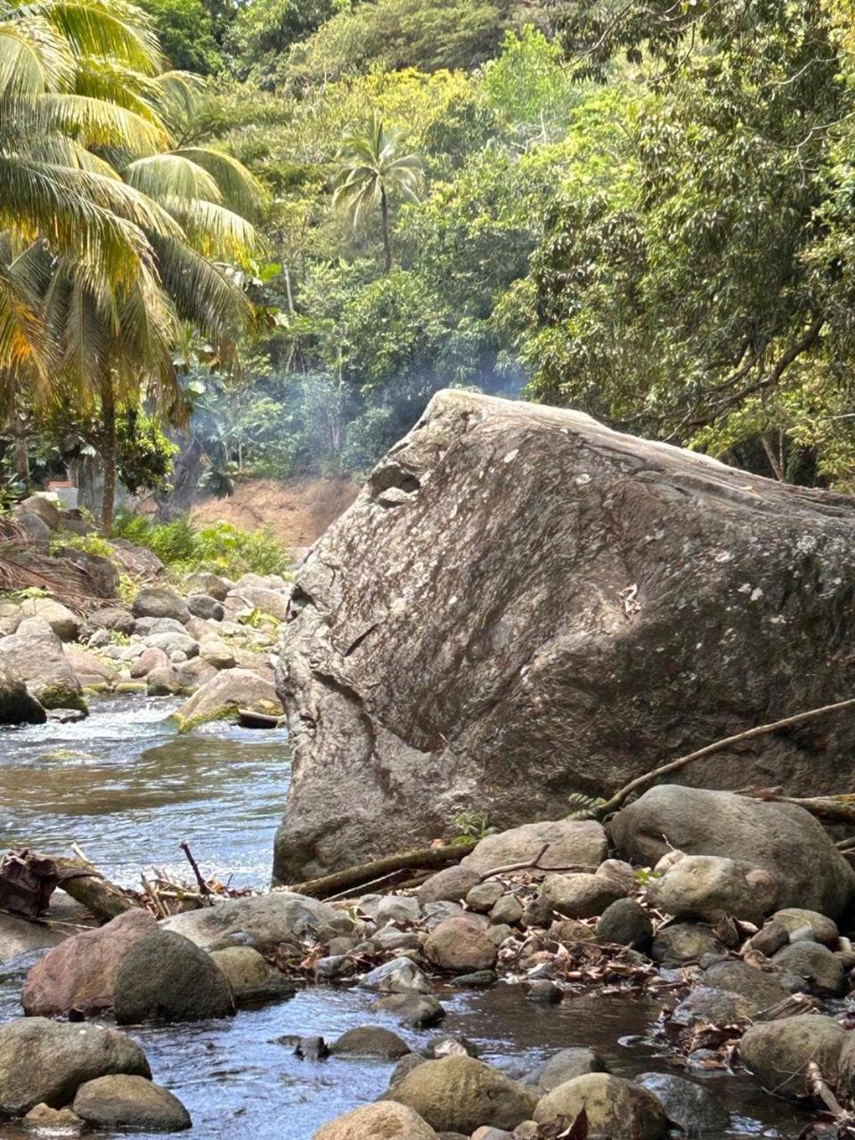 Les Jardins de Delgres - Photo 5
