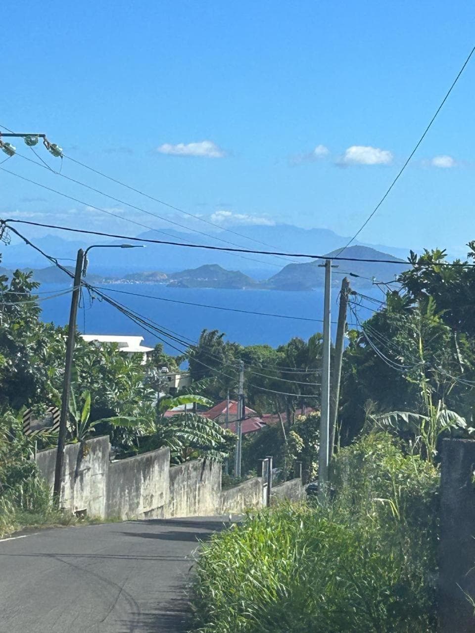 Les Jardins de Delgres - Photo 2