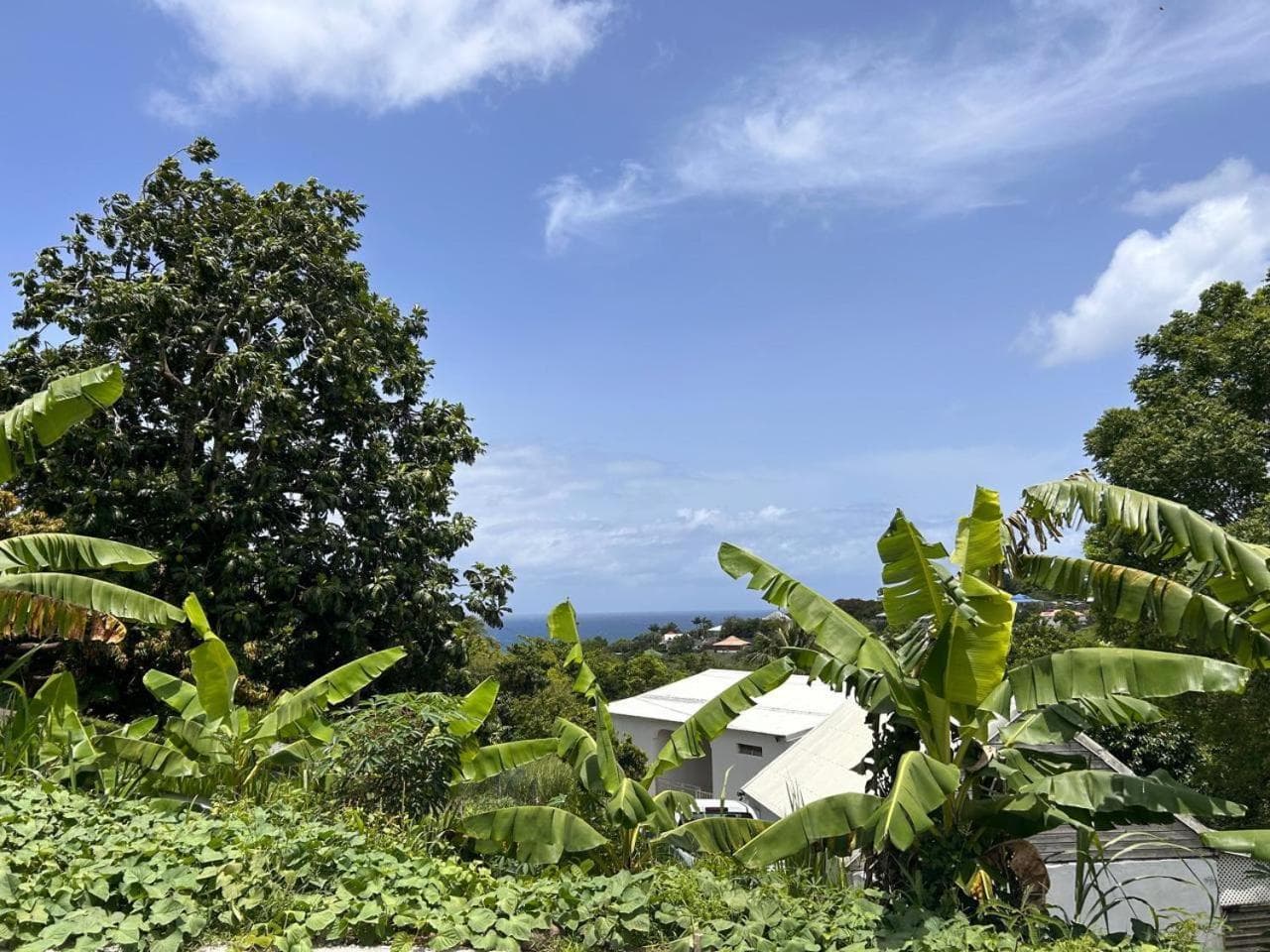 Les Jardins de Delgres - Photo 3