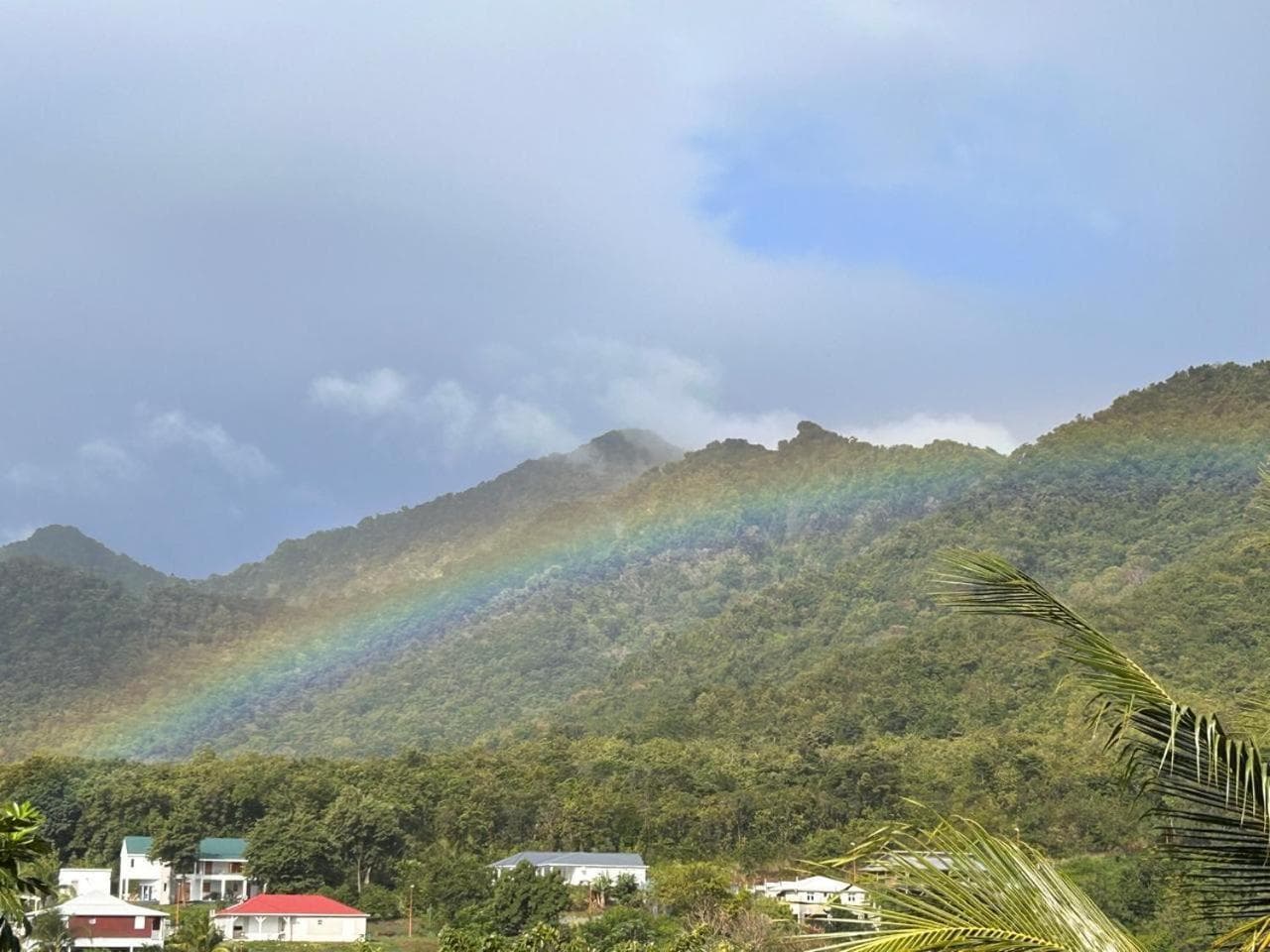 Les Jardins de Delgres - Photo 9