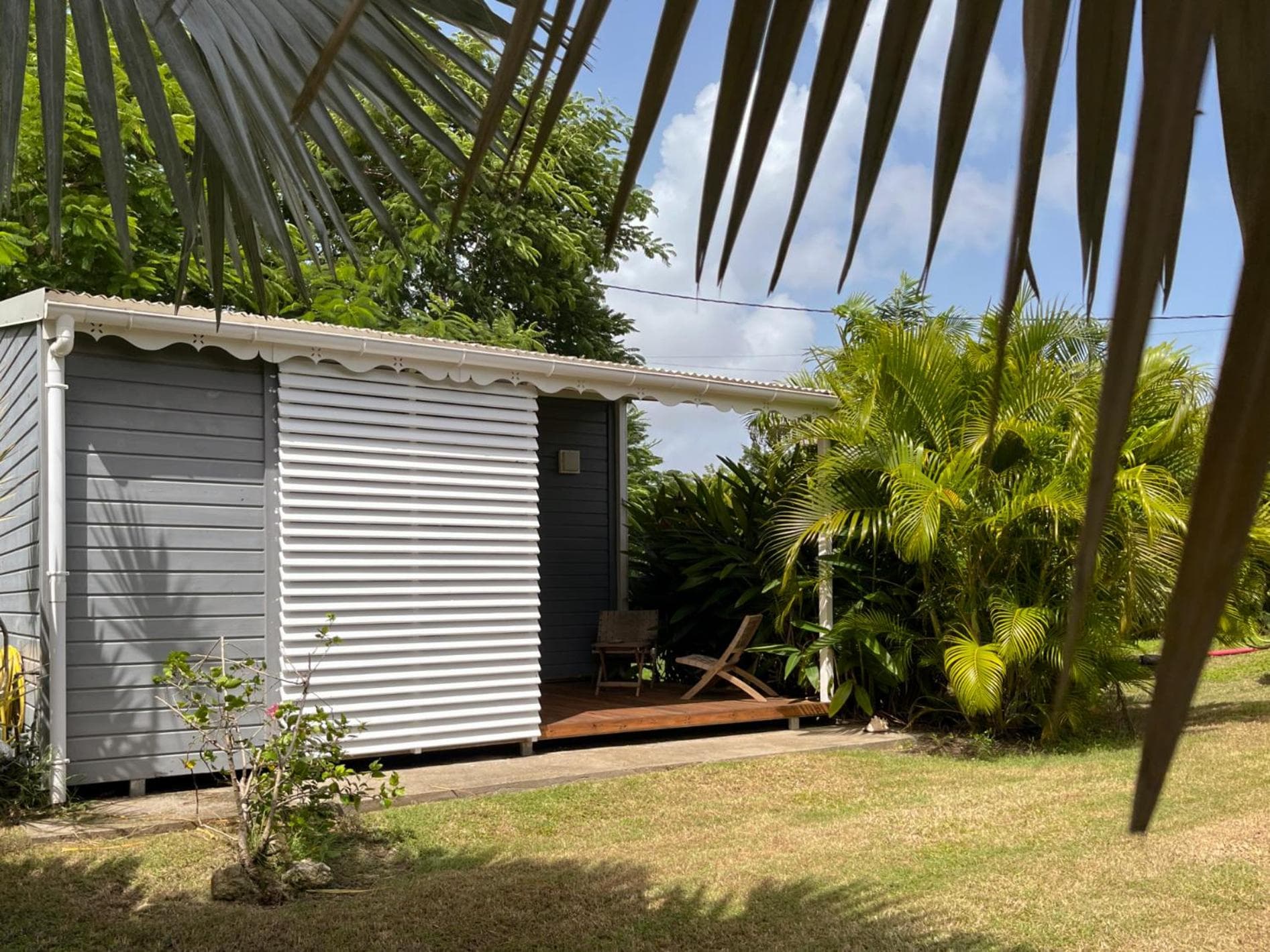 Kaz et Palmiers - Photo 20