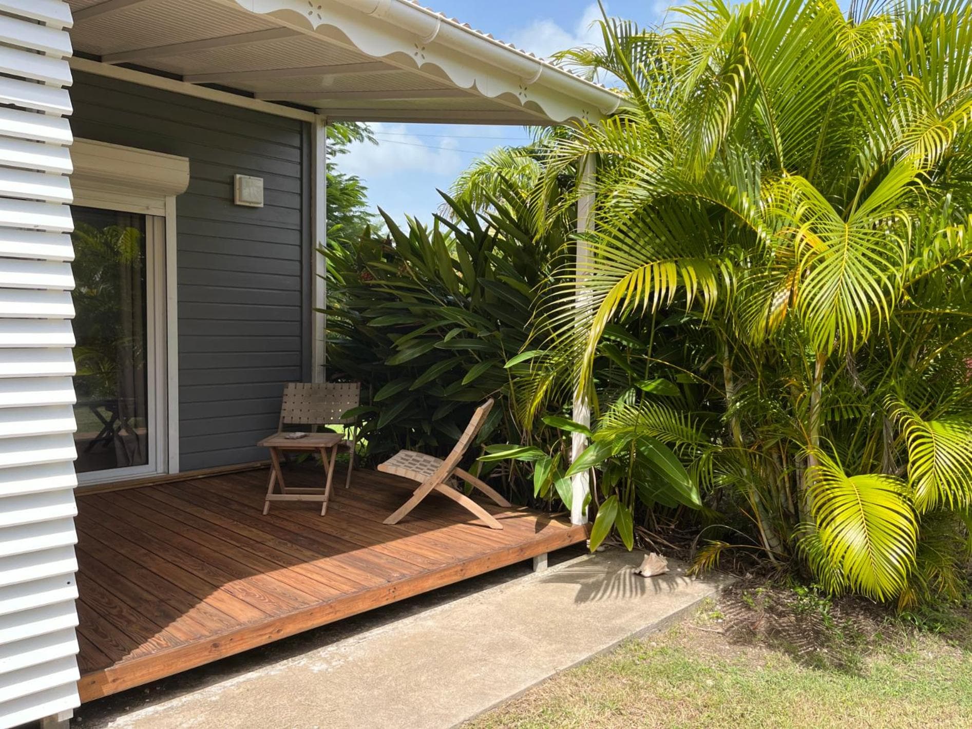 Kaz et Palmiers - Photo 21