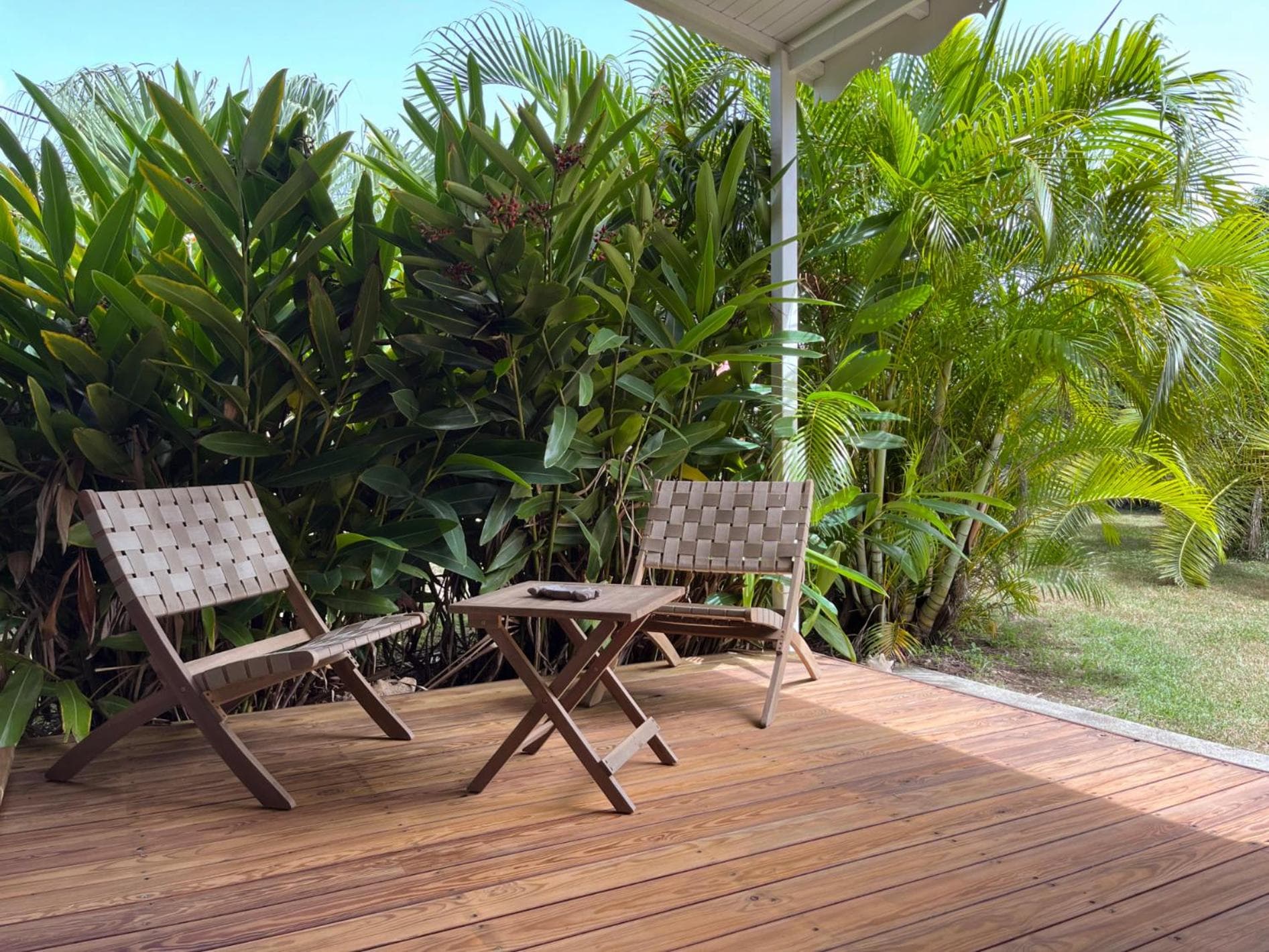 Kaz et Palmiers - Photo 22