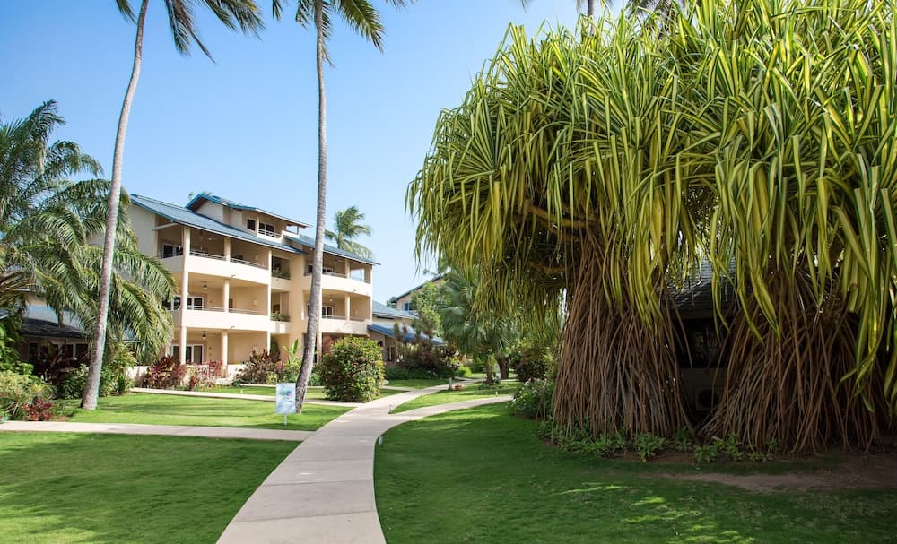 Hotel Alisei - Photo 28