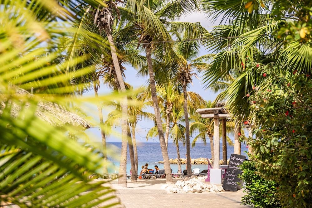 Bayside Boutique Hotel - Blue Bay Golf & Beach Resort - Photo 47