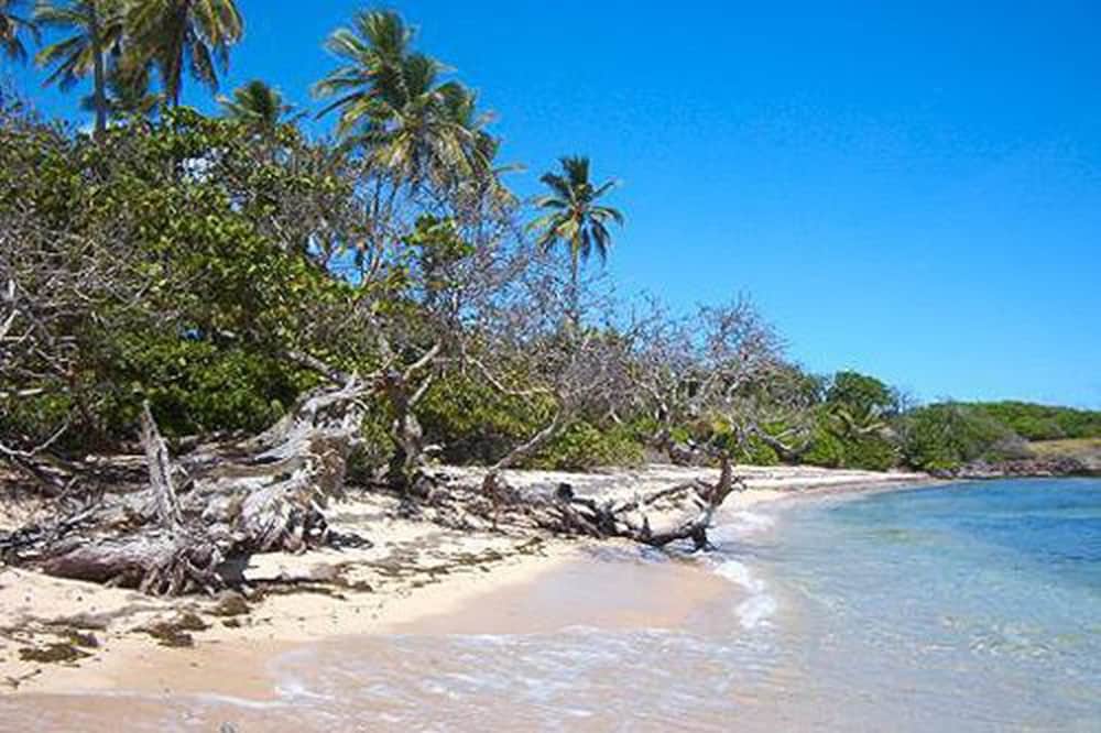 Le Paradis de l'Anse - Photo 27