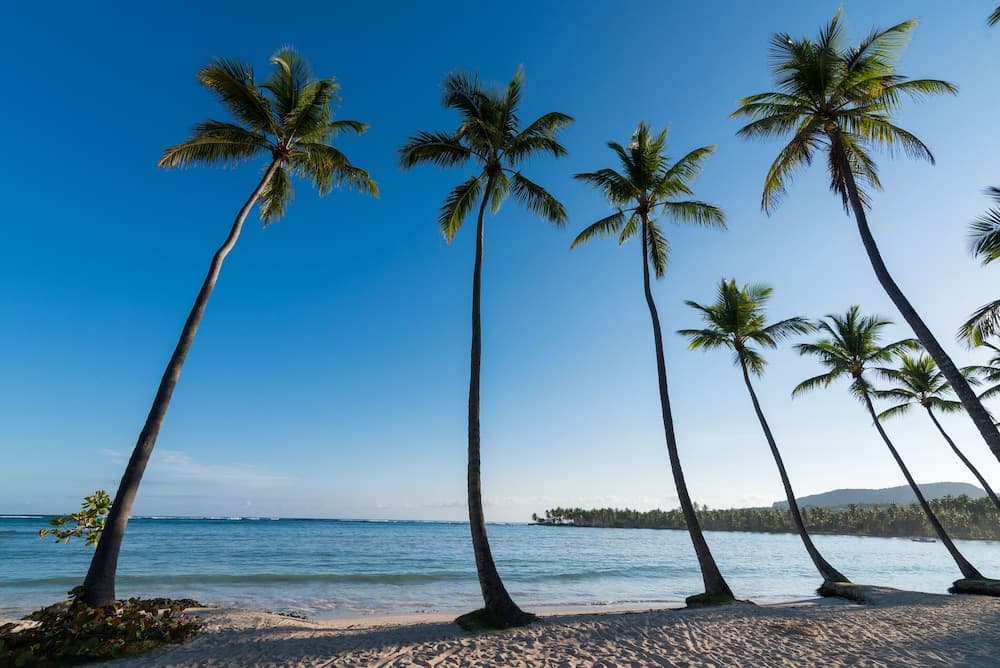 Wyndham Alltra Samana All-Inclusive Resort - Photo 140