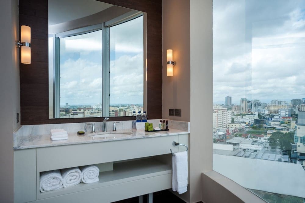 Embassy Suites by Hilton Santo Domingo - Photo 33