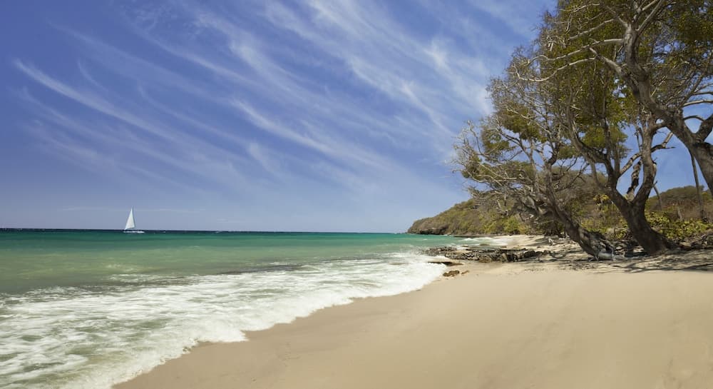 The Liming Bequia - Photo 51