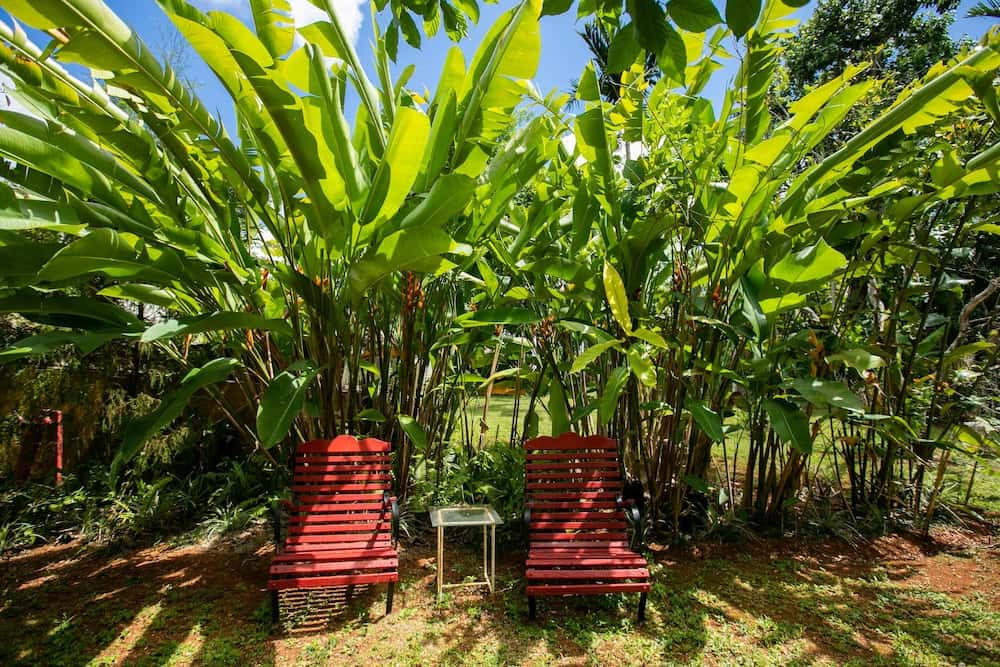 Casa da Buena Vista - hotel in 29 Chellaston Drive, Mandeville