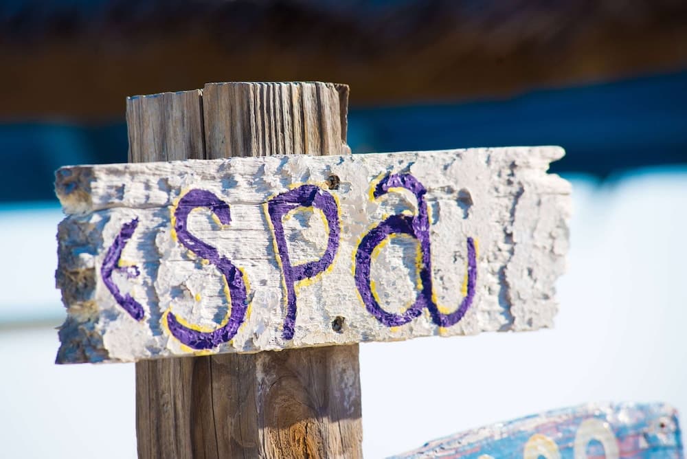 Wyndham Reef Resort Grand Cayman - Photo 32