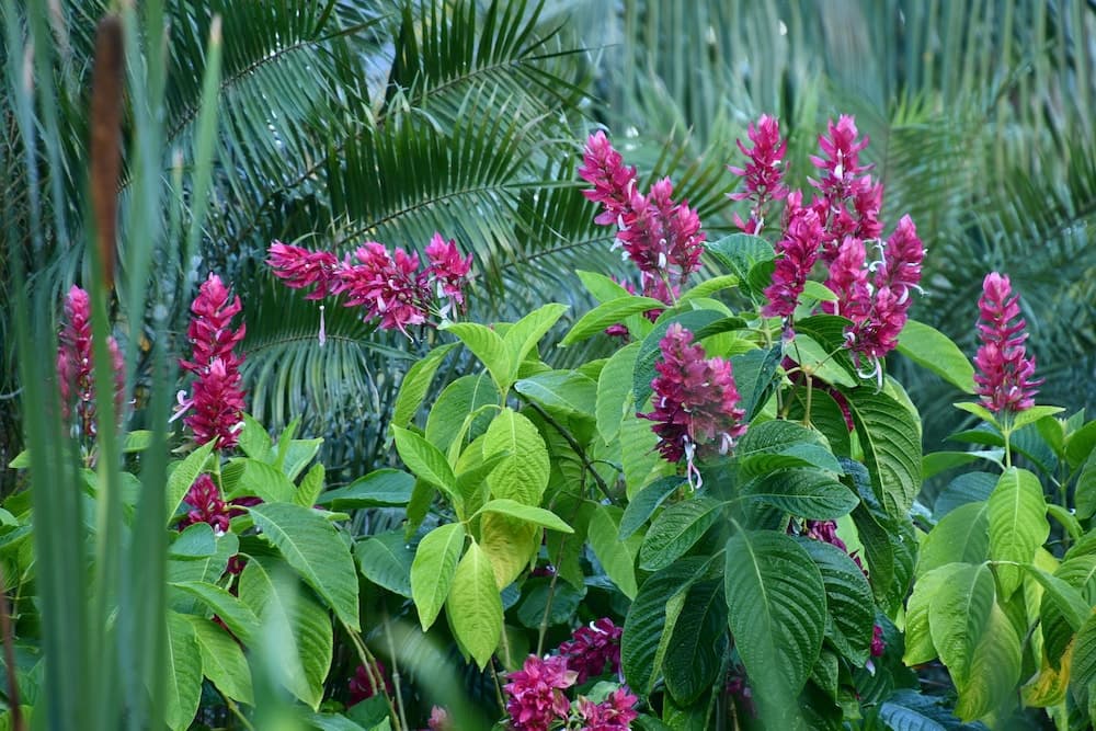 Hotel Alisei - Photo 96