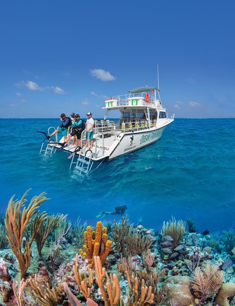 Compass Point Dive Resort - Photo 41