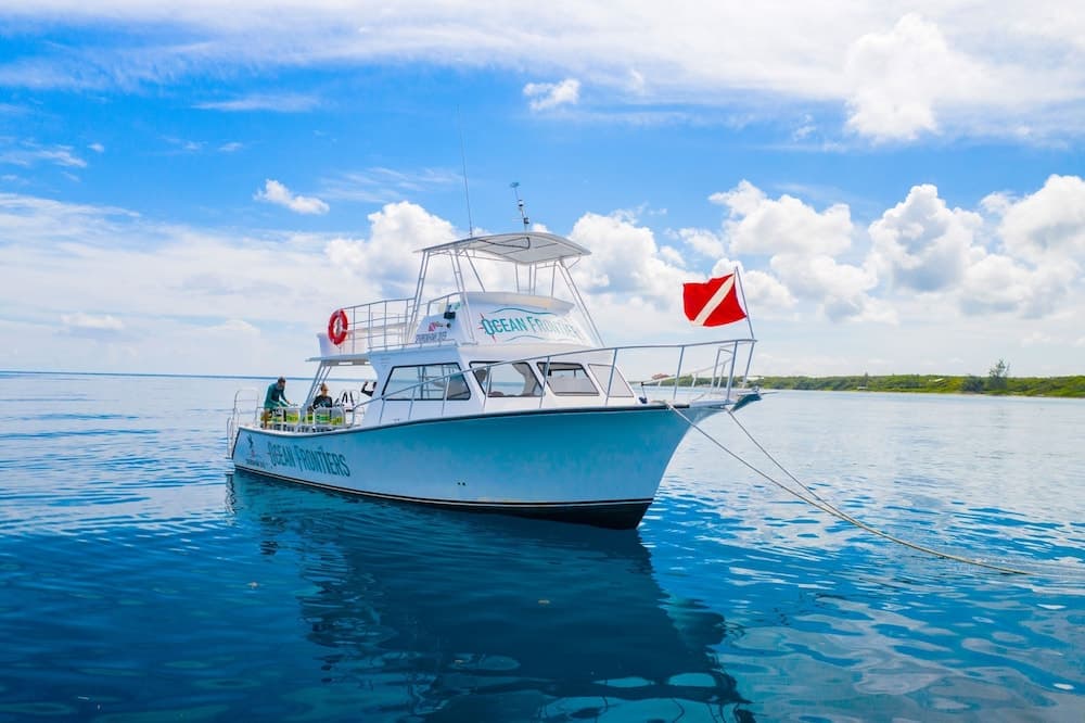 Compass Point Dive Resort - Photo 40