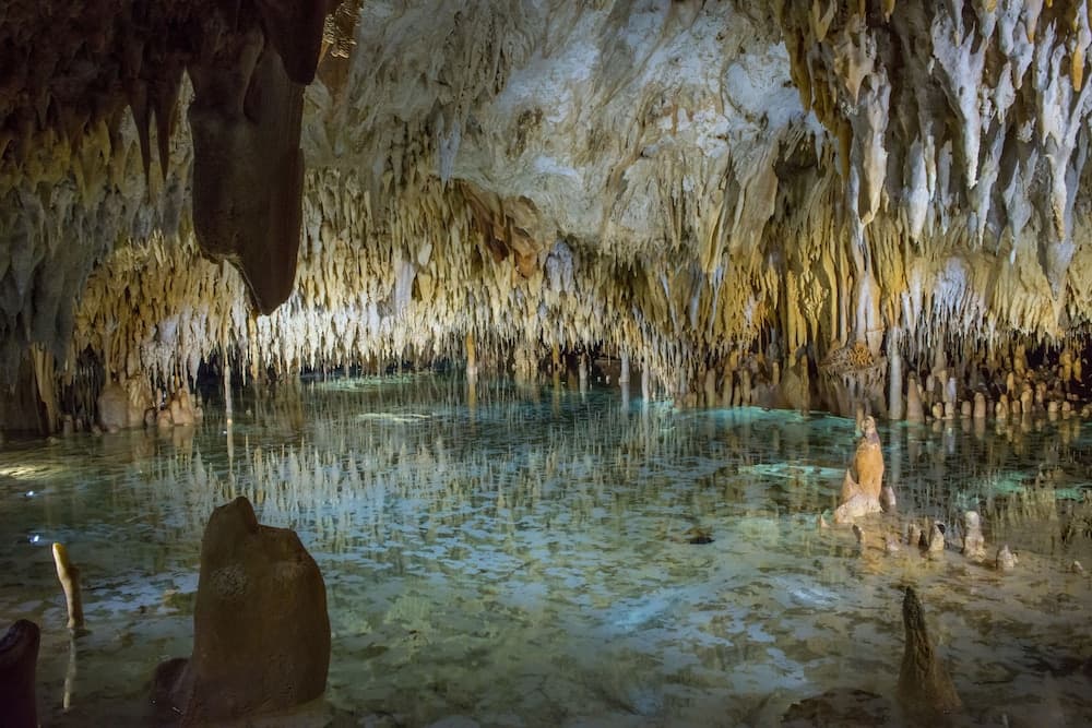 Wyndham Reef Resort Grand Cayman - Photo 49