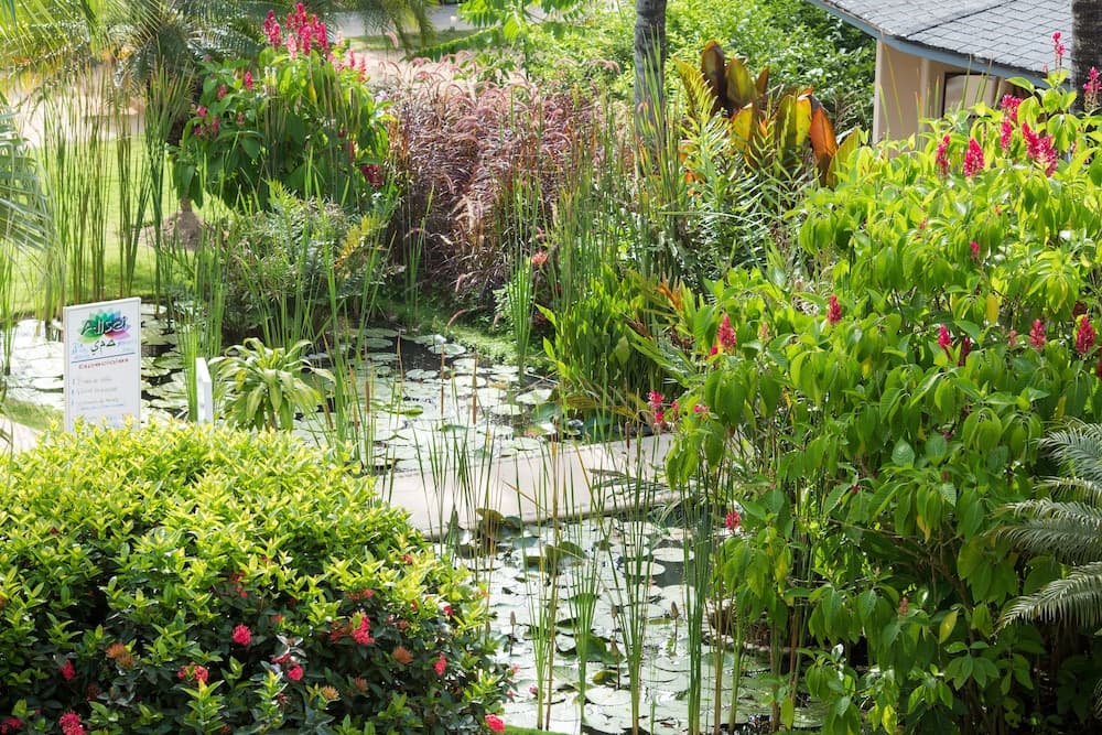 Hotel Alisei - Photo 38