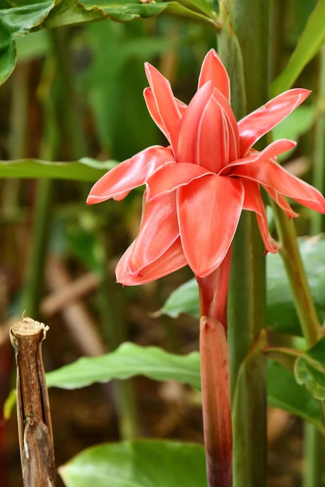 Hotel Alisei - Photo 90