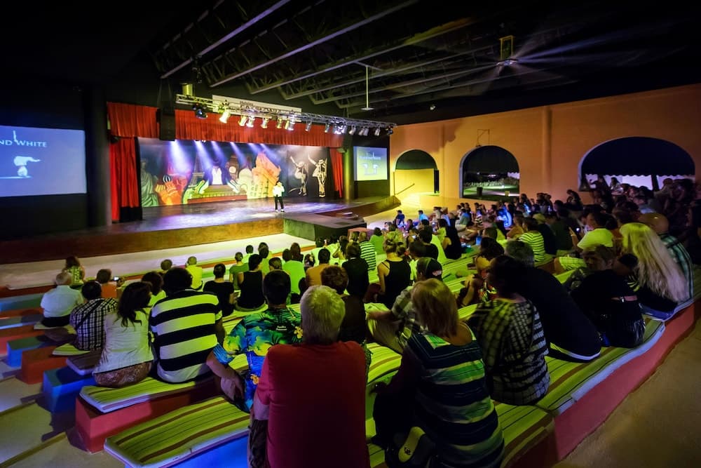 Catalonia Bayahibe – All Inclusive - Photo 58